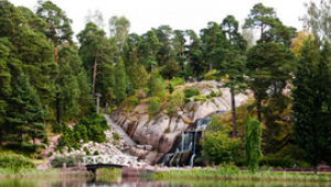 Как жить счастливо, пока весь мир сходит с ума_ - _0.png